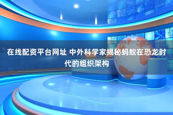 在线配资平台网址 中外科学家揭秘蚂蚁在恐龙时代的组织架构