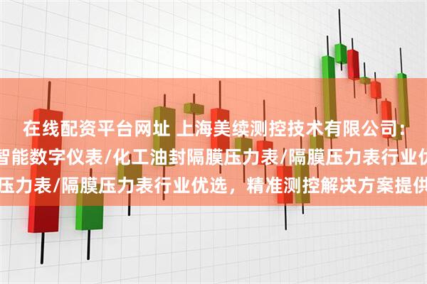 在线配资平台网址 上海美续测控技术有限公司:耐震压力表/差压表/智能数字仪表/化工油封隔膜压力表/隔膜压力表行业优选,精准测控解决方案提供商