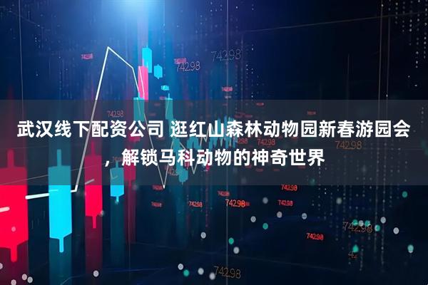 武汉线下配资公司 逛红山森林动物园新春游园会，解锁马科动物的神奇世界